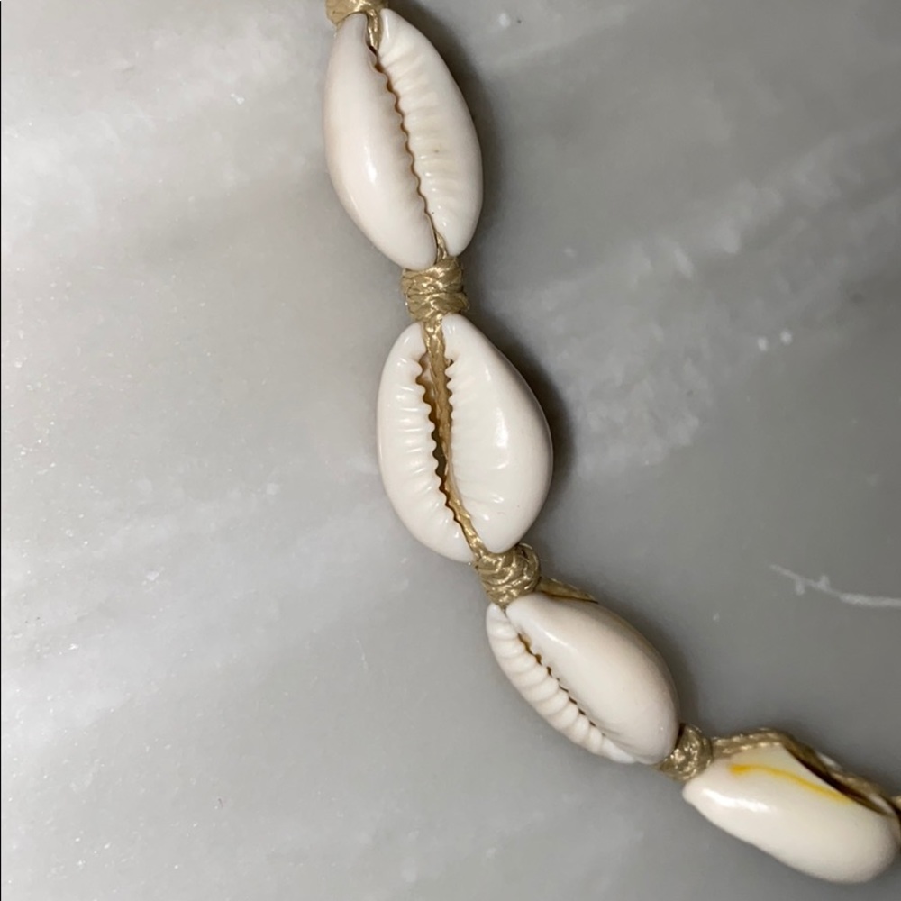 Shell Necklace! - Picture 2 of 3